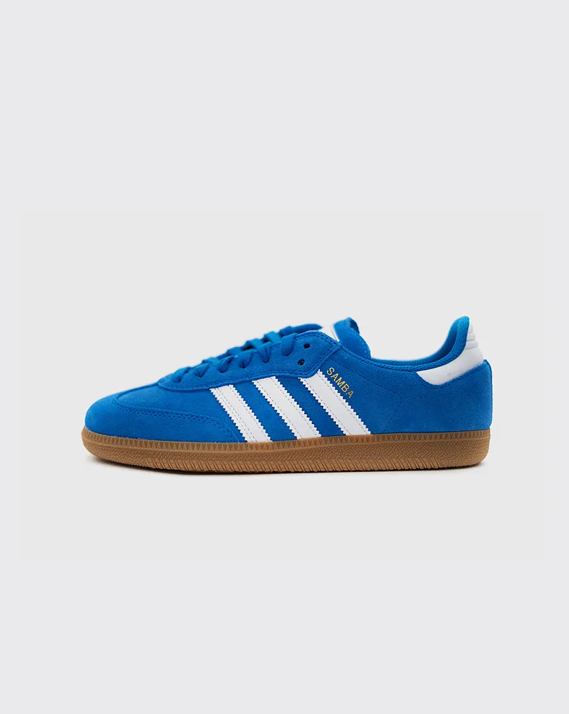 Adidas Samba ADV Shoe