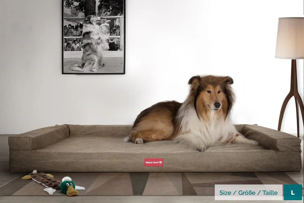 The Bench Orthopedic Memory Foam Dog Bed - Canvas Earth