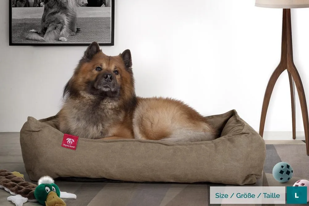 The Nest Orthopedic Memory Foam Dog Bed - Canvas Earth