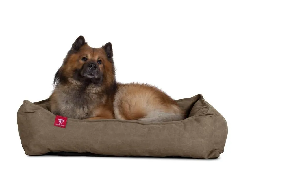 The Nest Orthopedic Memory Foam Dog Bed - Canvas Earth