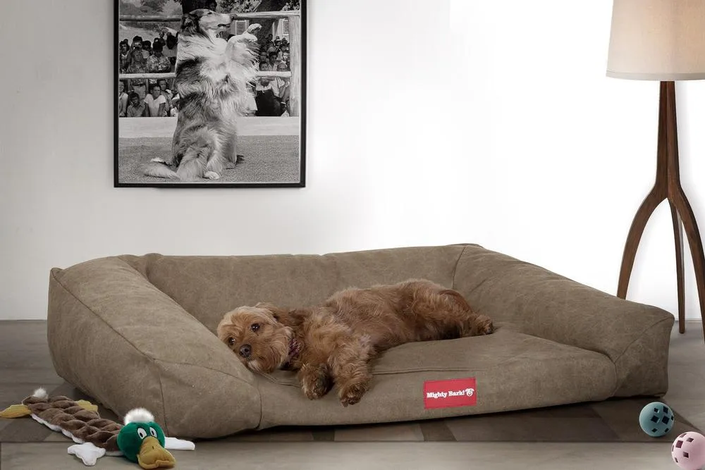 The Sofa Orthopedic Memory Foam Sofa Dog Bed - Canvas Earth